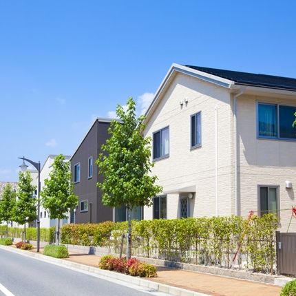 ���z���k